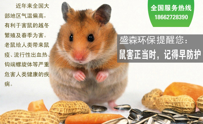 南京灭鼠，您了解老鼠的习性