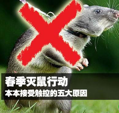 南京灭鼠,南京灭蟑螂,灭鼠