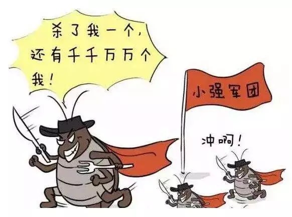 南京灭鼠